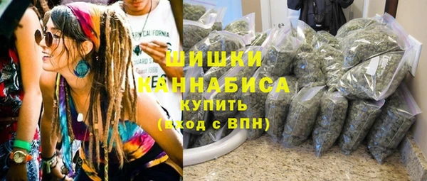 МДПВ Протвино