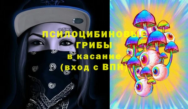 МДПВ Протвино